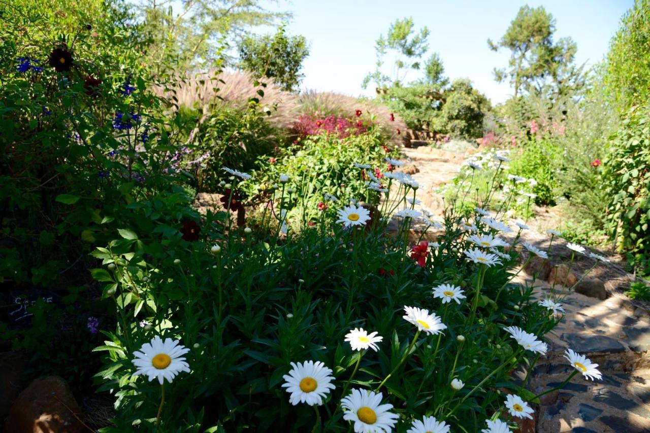 Olepangi Farm Nanyuki Exterior foto