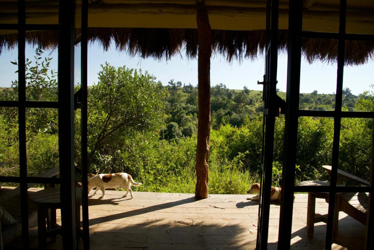 Olepangi Farm Nanyuki Exterior foto