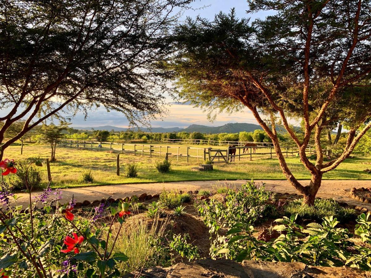 Olepangi Farm Nanyuki Exterior foto
