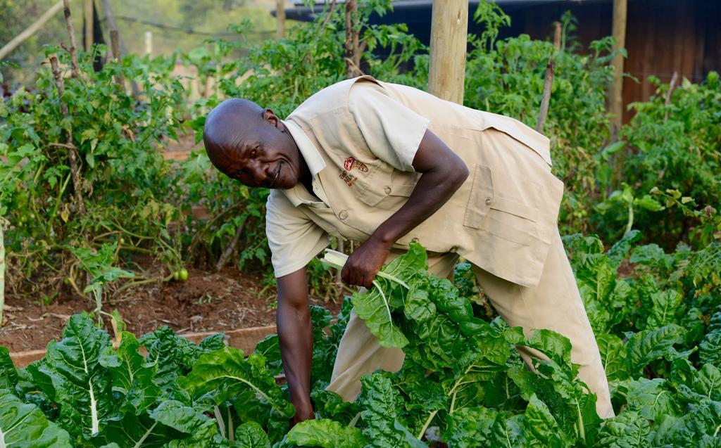 Olepangi Farm Nanyuki Exterior foto