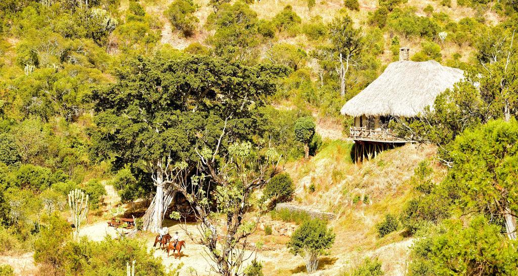 Olepangi Farm Nanyuki Exterior foto